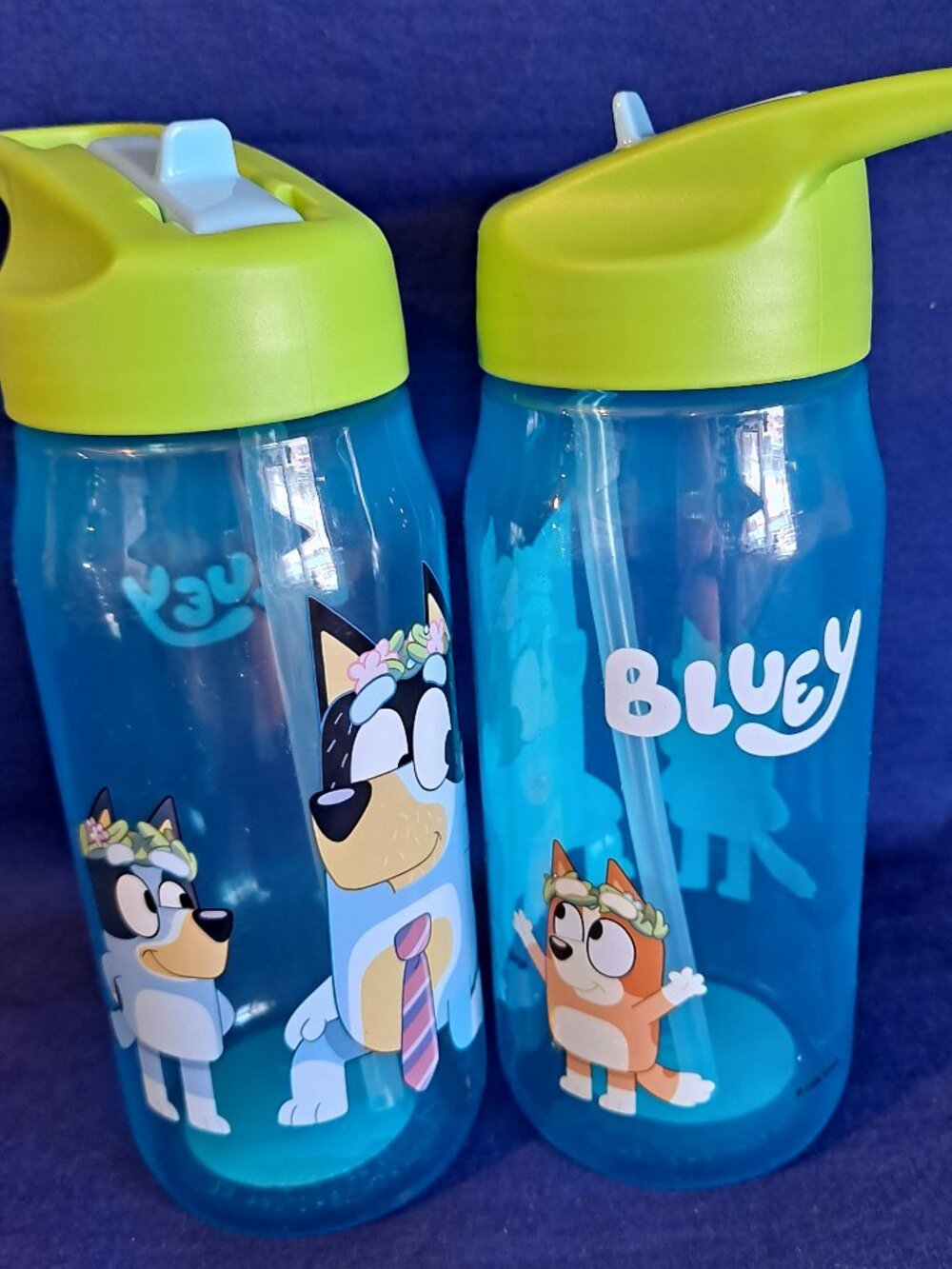 ZAK Ludo Studios Lot BLUEY Kids CUPS Travel Water Bottle Drink Lid Straws